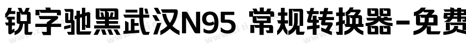 锐字驰黑武汉N95 常规转换器字体转换